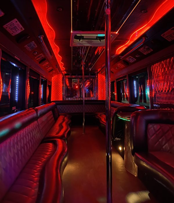 Imprezowy odbiór z lotniska Warszawa